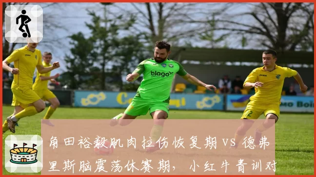 角田裕毅肌肉拉伤恢复期 vs 德弗里斯脑震荡休赛期，小红牛青训对待年轻车手伤病策略